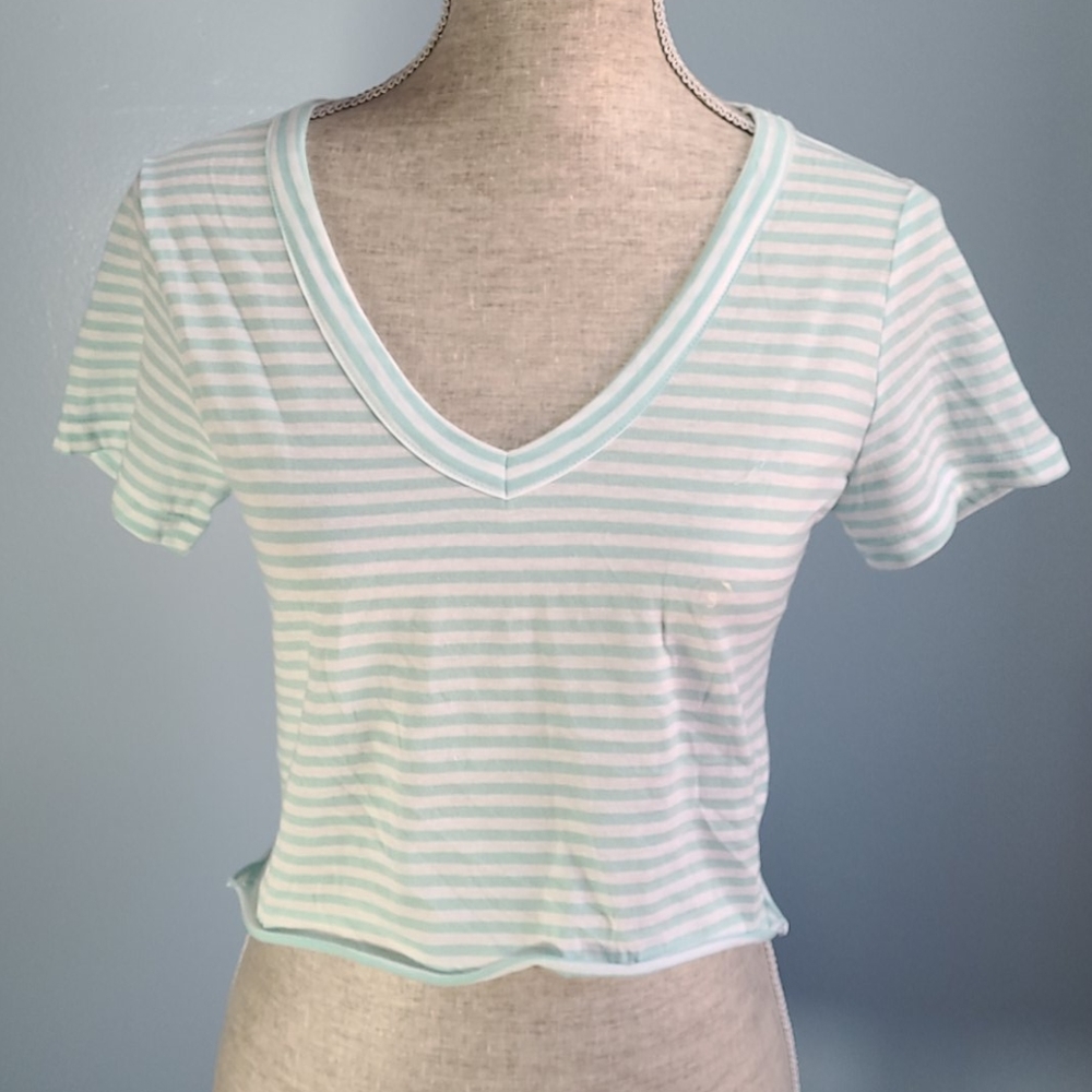 PacSun Basics Aqua Stripe V Neck Crop Top Size Small NWT